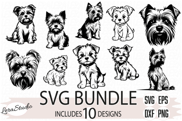 Download Yorkshire Terrier, Yorkie, Dog - Terrier Collection