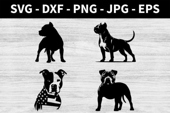 Download American Pit Bull Terrier Collection - Terrier Collection