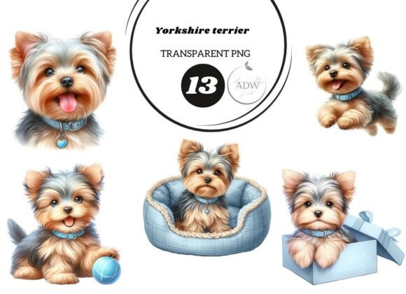 Download Yorkshire Terrier - Terrier Collection
