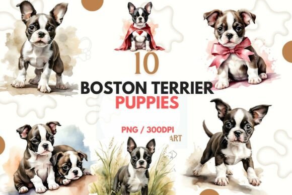 Download Cute Boston Terrier Puppy Clipart PNG - Terrier Collection