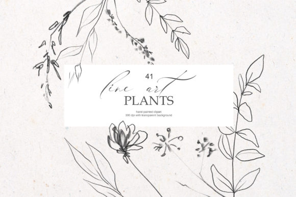 Download Floral Line Art Clipart - Premium Resources