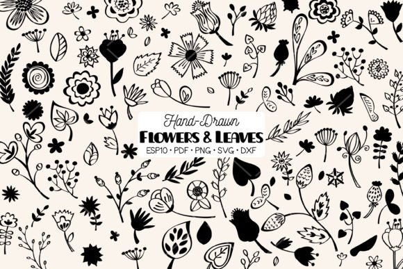 Download Flowers &amp; Leaves | Hand Drawn Plants - Hand drawn plants Collection
